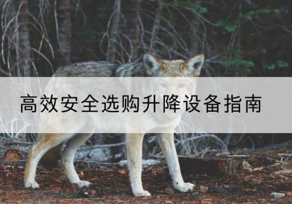 景德镇升降货梯厂家推荐-*安全选购升降设备指南