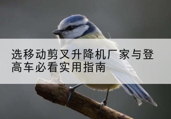 景德镇电动升降机厂家-选移动剪叉升降机厂家与登高车必看实用指南